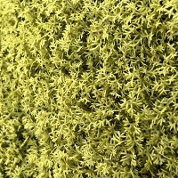 JARDÍN VERTICAL ARTIFICIAL LIQUEN