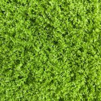 JARDÍN VERTICAL ARTIFICIAL LIQUEN LIMA