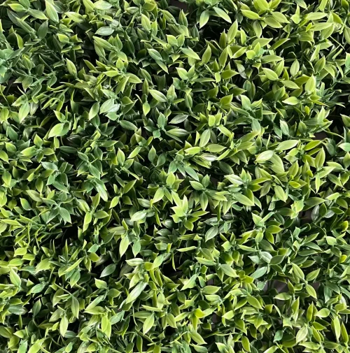 JARDÍN VERTICAL ARTIFICIAL ALIGUSTRE