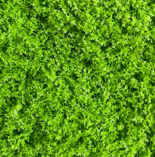 JARDÍN VERTICAL ARTIFICIAL LIQUEN LIMA