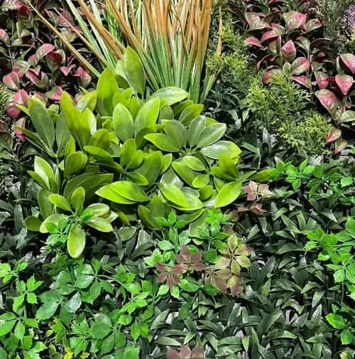 JARDÍN VERTICAL ARTIFICIAL CONGO